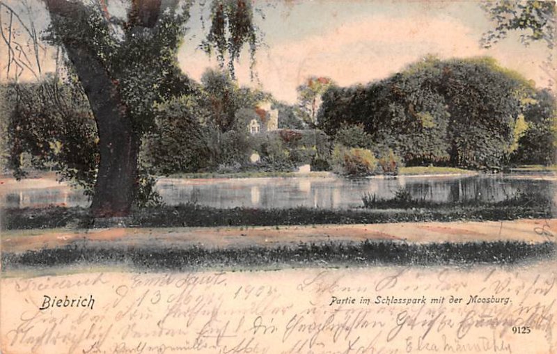 Partie im Schlosspark mit der Mossburg Biebrich Germany 1905 