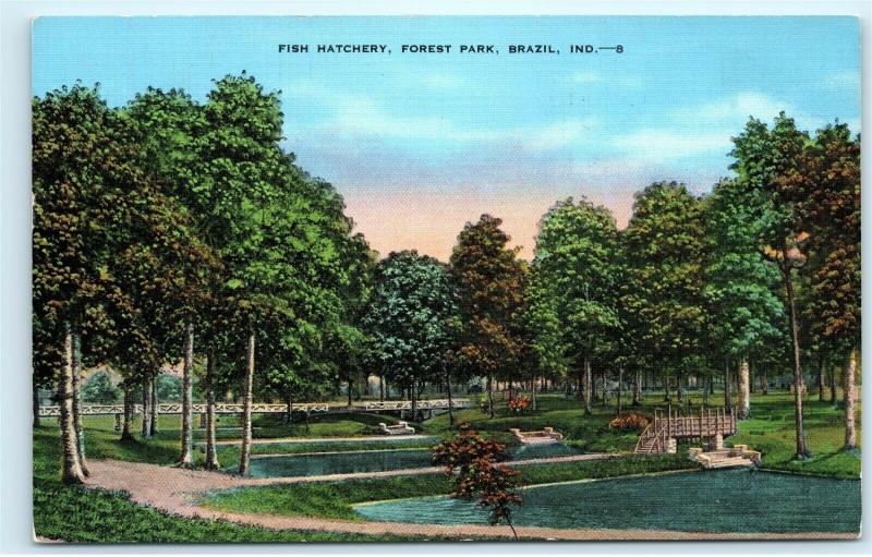 Fish Hatchery Forest Park Brazil Indiana 1950s Vintage Postcard D93