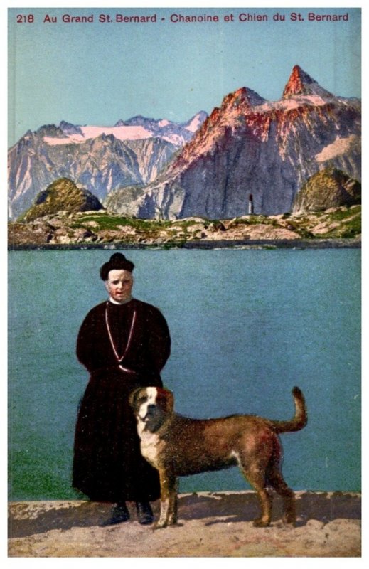 Dog , St. Bernard , Preist