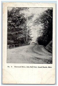 c1910 Glenwood Drive John Ball Park Grand Rapids Michigan MI Vintage Postcard 