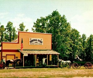 Bull Shoals Mountain Village AR Arkansas General Store UNP Chrome Postcard M13