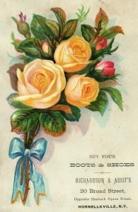 1880's Lovely Richardson & Adsit's, Hornellsville, N.Y. Victorian trade Card &M