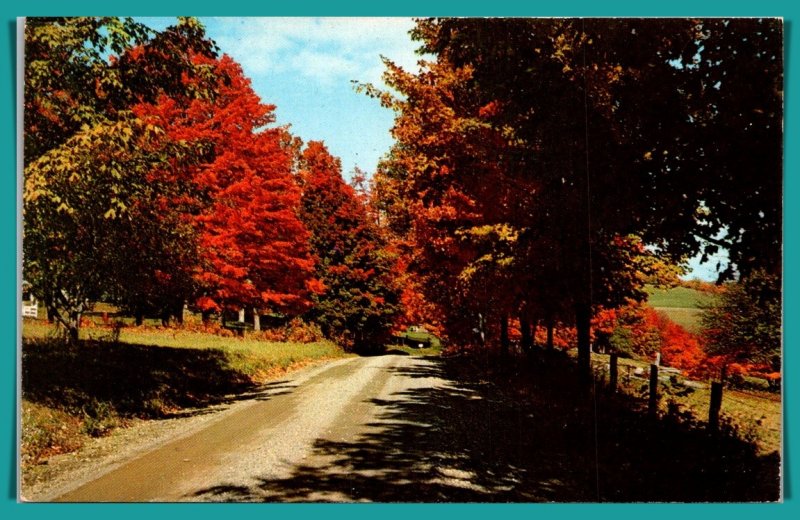 Vermont - Vivid Fall Foliage - [VT-183]