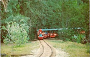 Ft Lauderdale, FL Florida MINIATURE TRAIN Hugh Taylor Birch State Park Postcard