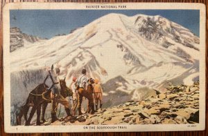 Vintage Postcard 1934 Ranier National Park, Sourdough Trail, Washington (WA)