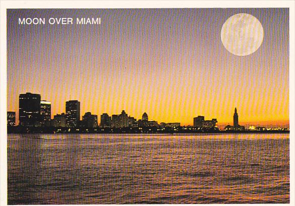 Full Moon Over Miami Florida Hippostcard