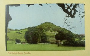 C.1910 Fitch Mountain, Russian River, Cal. Postcard P61