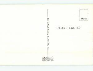 Unused Pre-1980 GREETINGS FROM BEACH Ocean City Maryland MD M6776