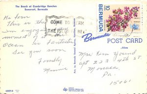 The Beach of Cambridge Beaches Somerset Bermuda Postcard