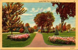 New York Port Chester Lyons Park 1951 Curteich