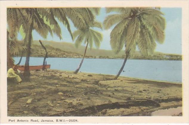 Jamaica Port Antonio Road