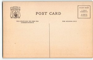 Lincoln Park, Chicago - Children's Day at Bathing Beach - c1910 Postcard