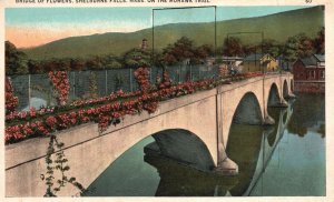 Vintage Postcard 1932 Bridge Flowers Shelburne Falls Massachusetts Mohawk Trail