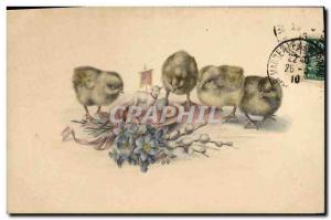 Old Postcard Chicks