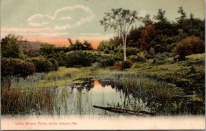 Vtg 1900s Little Wilson Pond North Auburn Maine ME Antique Postcard