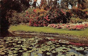 Enchanted Garden, Lily Pond Greetings From - Swan Lake, New York NY  