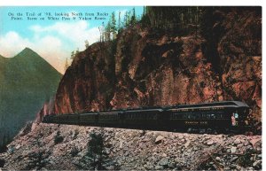 VINTAGE POSTCARD SCENE ON WHITE PASS TRAIL '98 YUKON ROUTE ANTIQUATED FRESH