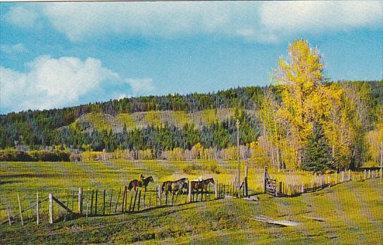 Canada Cariboo Ranch Williams Lake British Columbia Alberta