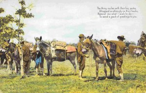 US Army Pack Mules  1910c postcard