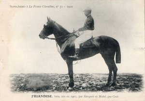 Friandise La France Chevaline 1905 Race Horse Antique PB Postcard