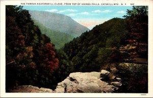 Kaaterskill Clove from Top of Haines Falls Catskill Mtns. NY Postcard PC187