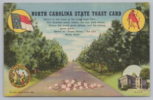 North Carolina~State Flag~State Bird~State Capitol~Vintage Postcard 
