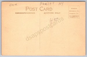 K18/ Phelps New York Postcard c10 Main St Parade Band Fire Department 437