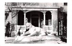 Winter Sculpture in Missoula, Montana