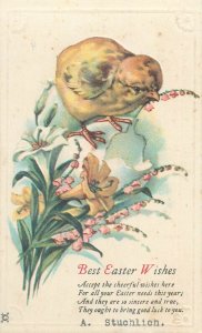 Easter greetings vintage embossed postcard United States drawn chicken 