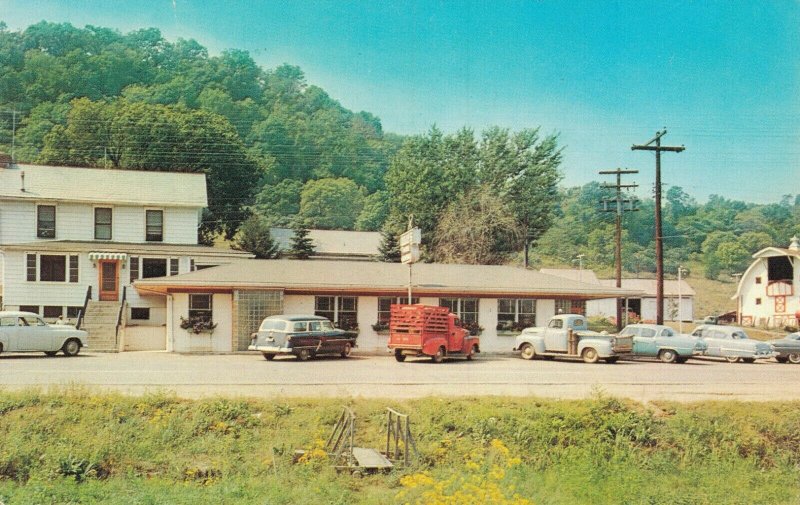 USA Ogles Restaurant Dexter City Ohio Vintage Postcard 04.29