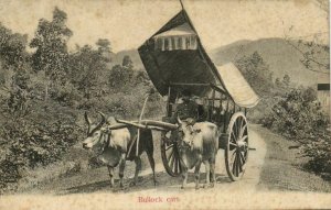 PC CPA SINGAPORE, BULLOCK CART, Vintage Postcard (b3044)