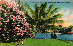 Florida Miami Beach Oleanders and Palm Shaded Lagoon 1942