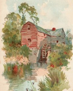 Carretel Clark's ONT da década de 1890 algodão Long Island River cena no verão #6L-