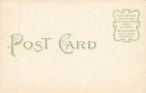 Immigrant Building, Ellis Island, New York City, Early Postcard, Unused