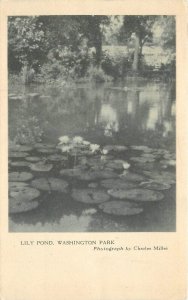 Postcard 1920s Chicago Illinois Art league Lily Pond Washington Park 23-11275