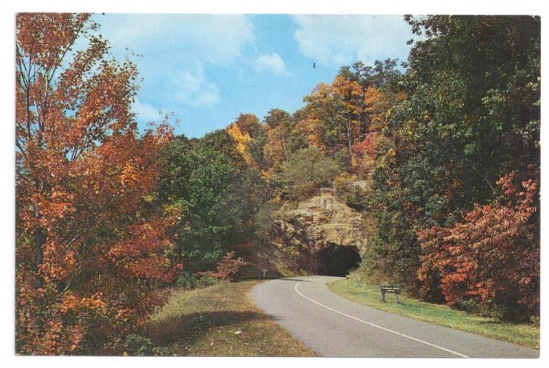 NC Blue Ridge Parkway Views Tanbark Tunnel (2 cards)