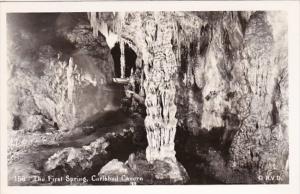 New Mexico Carlsbad Caverns The First Spring Real Photo