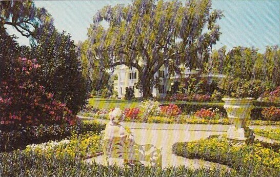 Orton Plantation Wilmington North Carolina 1966