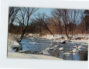 Postcard Winter-Bound Stream