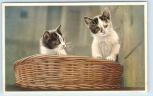 2 CUTE KITTENS in a BASKET  c1950s Belgian Mainzer Cat Postcard 