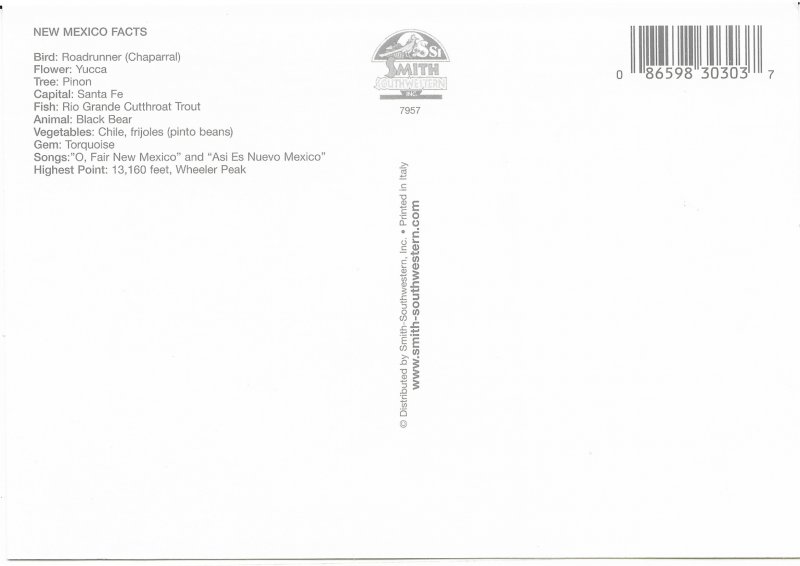 US New Mexico. Mint. Map and facts.  Nice Card.