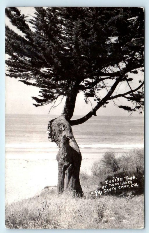 RPPC  SANTA CRUZ, California CA ~ Twin Lakes INDIAN TREE c1940s   Postcard