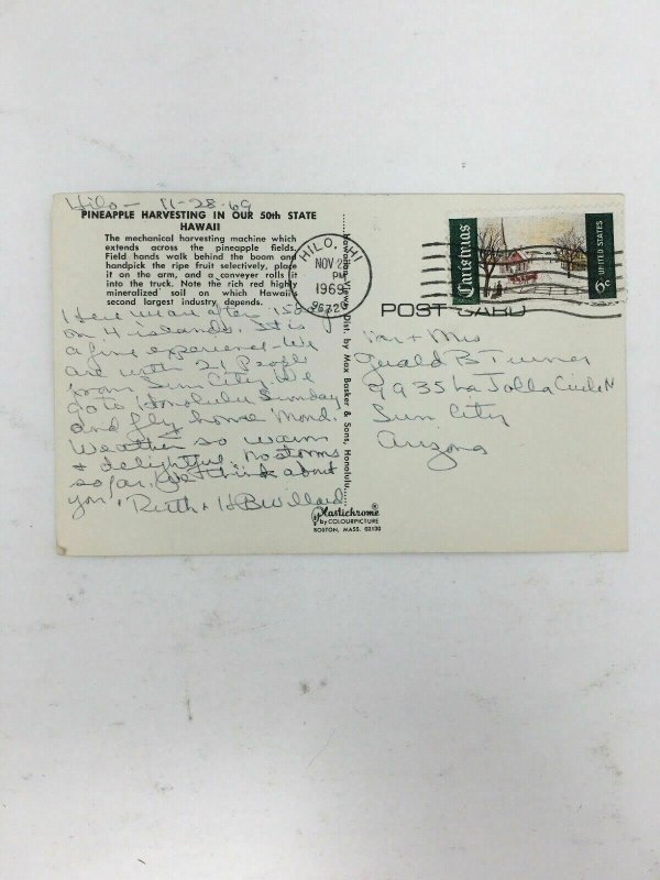 Pineapple Harvesting Hawaii Postcard 1969 Hilo Cancel