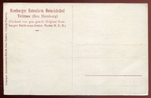 dc2048 - GERMANY Trittau Postcard 1910s Hamburger Entenfarm Heinrichshof