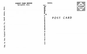 Postcard WATER SCENE Springfield Massachusetts MA AU6567