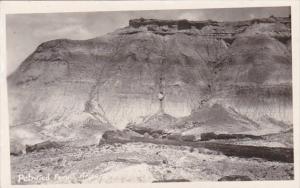 Arizona Petrified Forest Real Photo