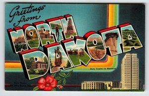 Greetings From North Dakota Wild Prairie Rose Large Big Letter Chrome Postcard