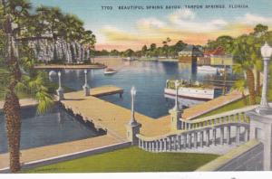 Florida Tarpon Springs Beautiful Spring Bayou