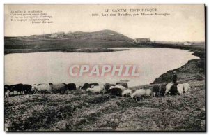 Old Postcard Cantal Picturesque Lake bungs Pres Riom es Mountain Sheep