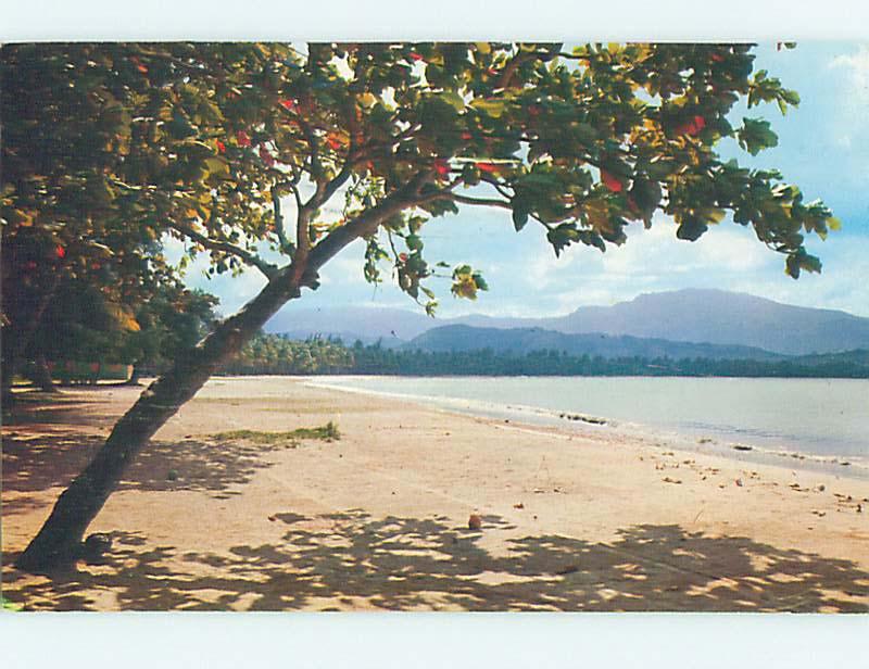 Pre-1980 LUQUILLO BEACH IN EL YUNQUE Rio Grande Puerto Rico PR M7457